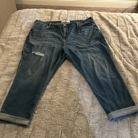 Plus Size Hollister Jean! 21L (Fits like a size 22W) - Picture 2 of 10
